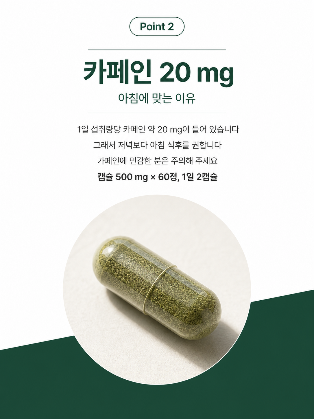 Point 2 카페인 20 mg
